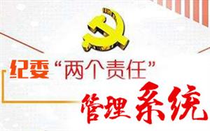 紀委“兩個(gè)責任”任務落實上(shàng)報系統